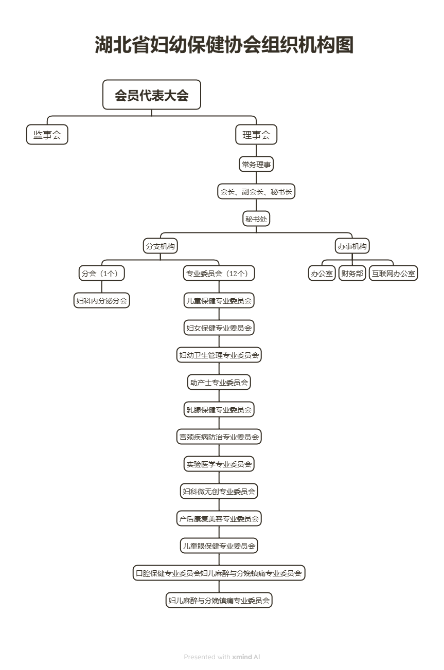 1湖北省妇幼保健协会组织机构图-会员代表大会.png